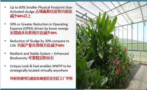 技術(shù)交流 會(huì)生長的污水廠——FCR花園式污水處理技術(shù)解析